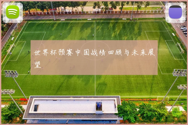 世界杯预赛中国战绩回顾与未来展望