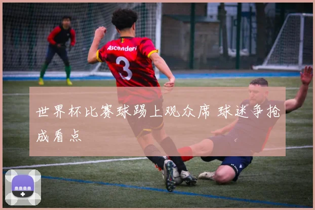 世界杯比赛球踢上观众席 球迷争抢成看点