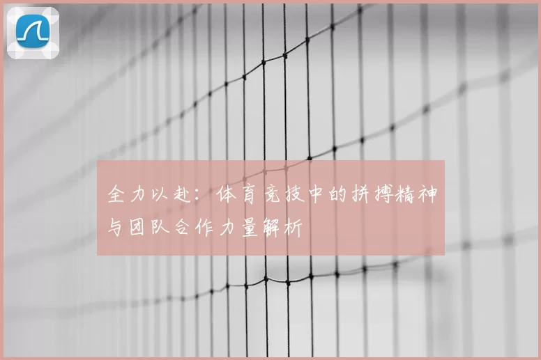 全力以赴：体育竞技中的拼搏精神与团队合作力量解析