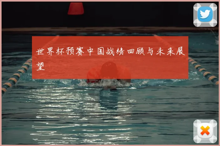 世界杯预赛中国战绩回顾与未来展望