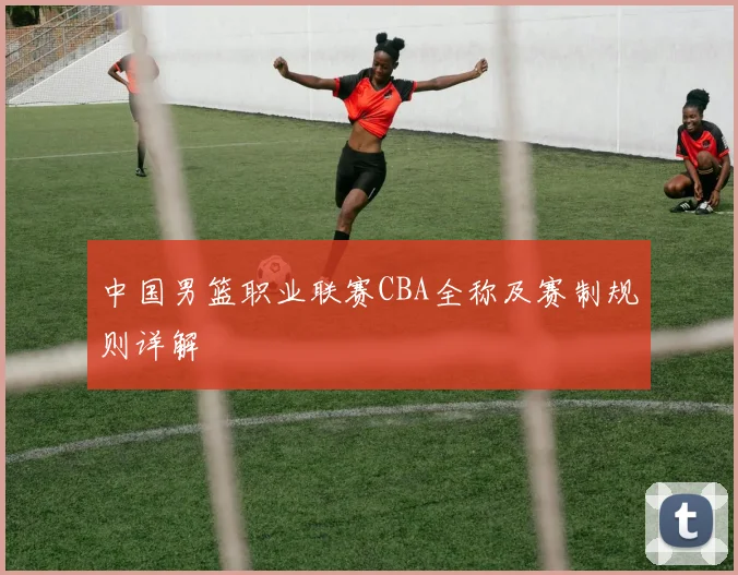 中国男篮职业联赛CBA全称及赛制规则详解