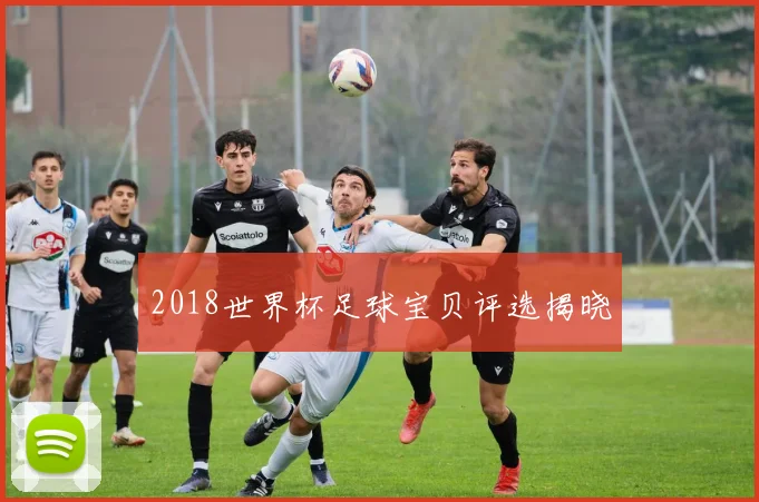2018世界杯足球宝贝评选揭晓