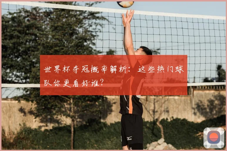 世界杯夺冠概率解析:这些热门球队你更看好谁?