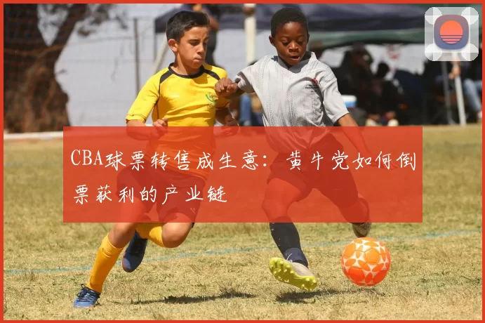 CBA球票转售成生意：黄牛党如何倒票获利的产业链