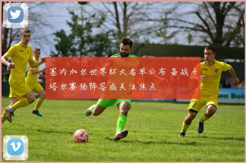 塞内加尔世界杯大名单公布 备战卡塔尔赛场阵容成关注焦点