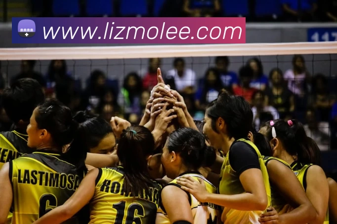 J9集团APP 封面图